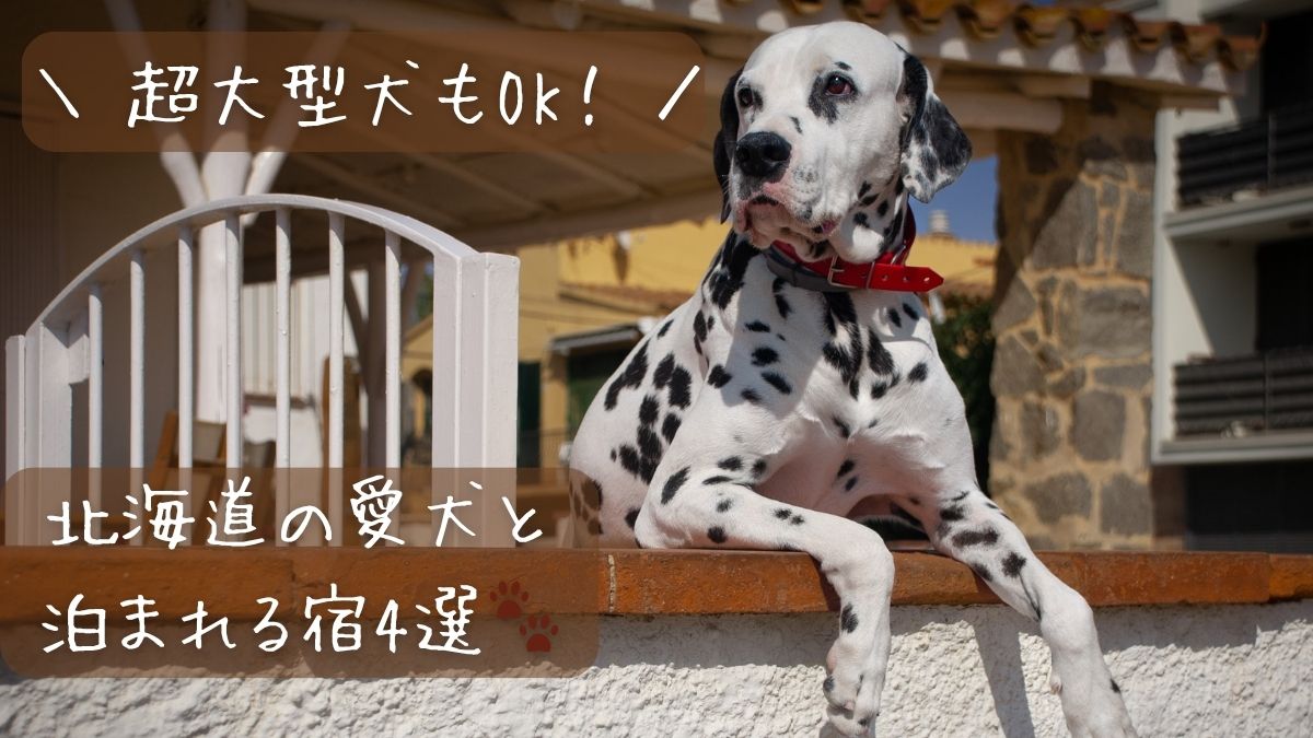 超大型犬もOK！北海道の愛犬と泊まれる宿4選