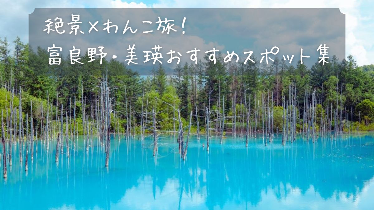 絶景×わんこ旅　富良野・美瑛おすすめスポット