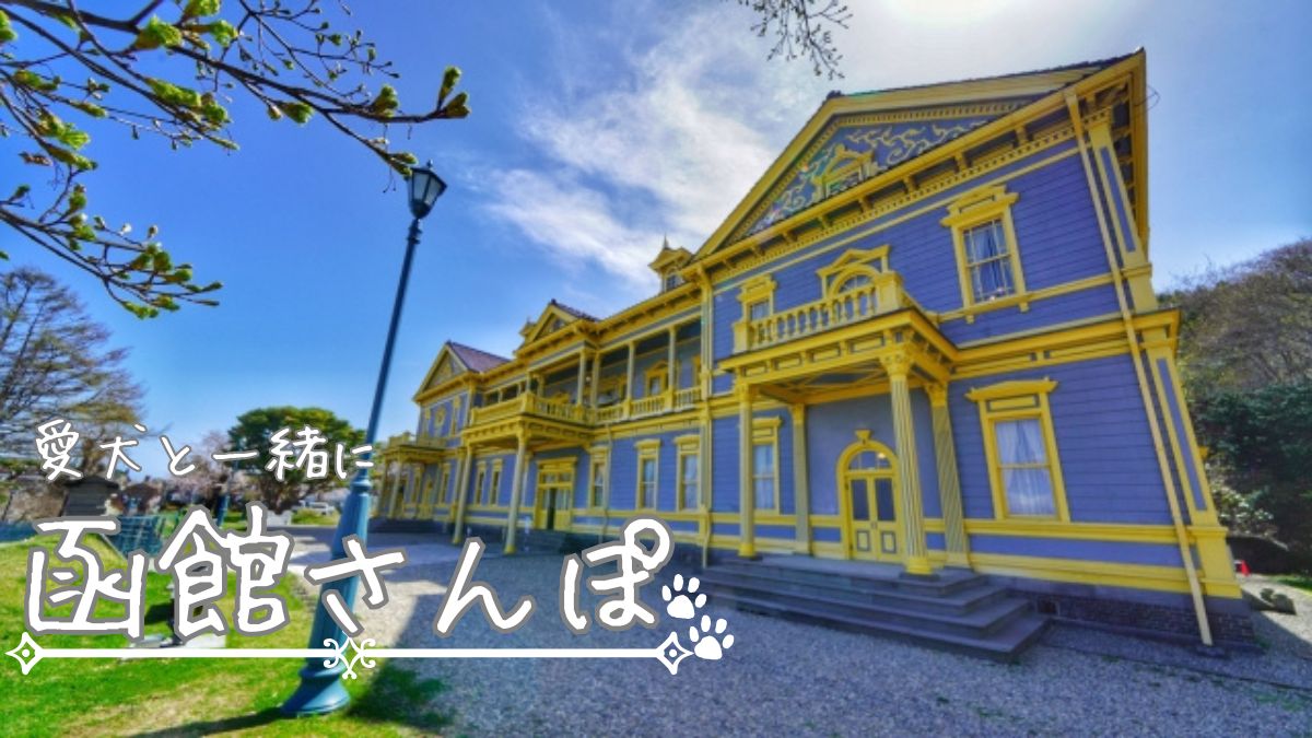 【函館・大沼】犬と楽しめる観光地6選｜夜景・赤レンガ・クルーズ体験も！