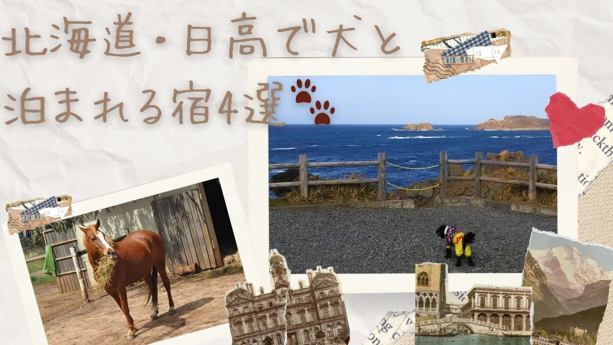 【北海道・日高】犬と泊まれる宿4選｜温泉・民宿・ドッグラン付きも！