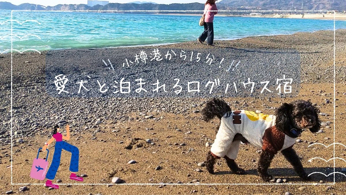 小樽港からすぐ！犬と泊まれるログペンションパインハウス体験レポ