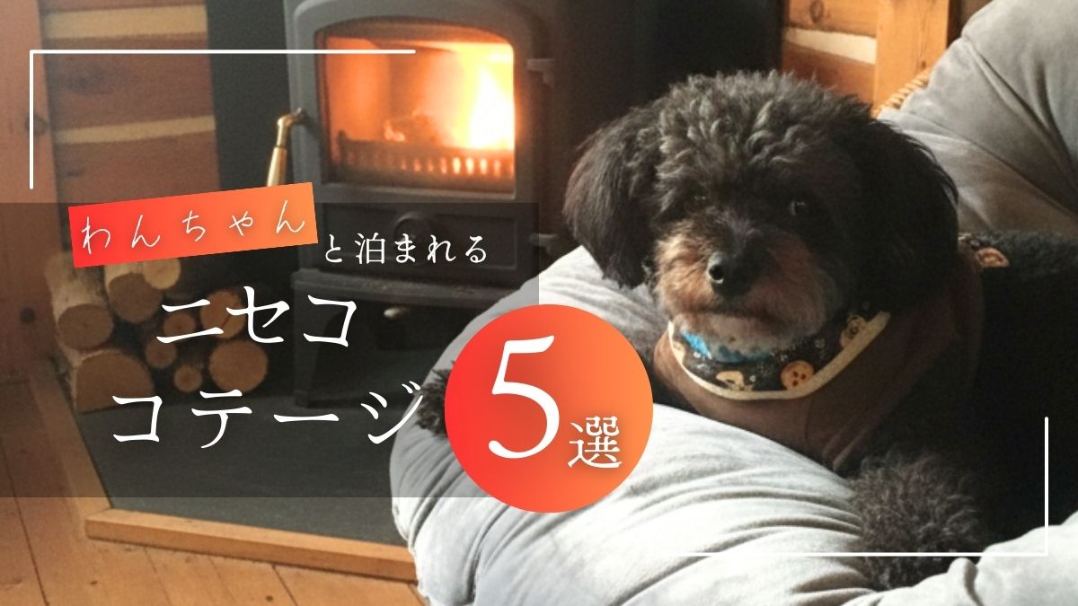 わんちゃんと泊まれるニセコのコテージ5選