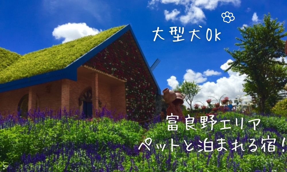 富良野エリアのペットと泊まれる宿