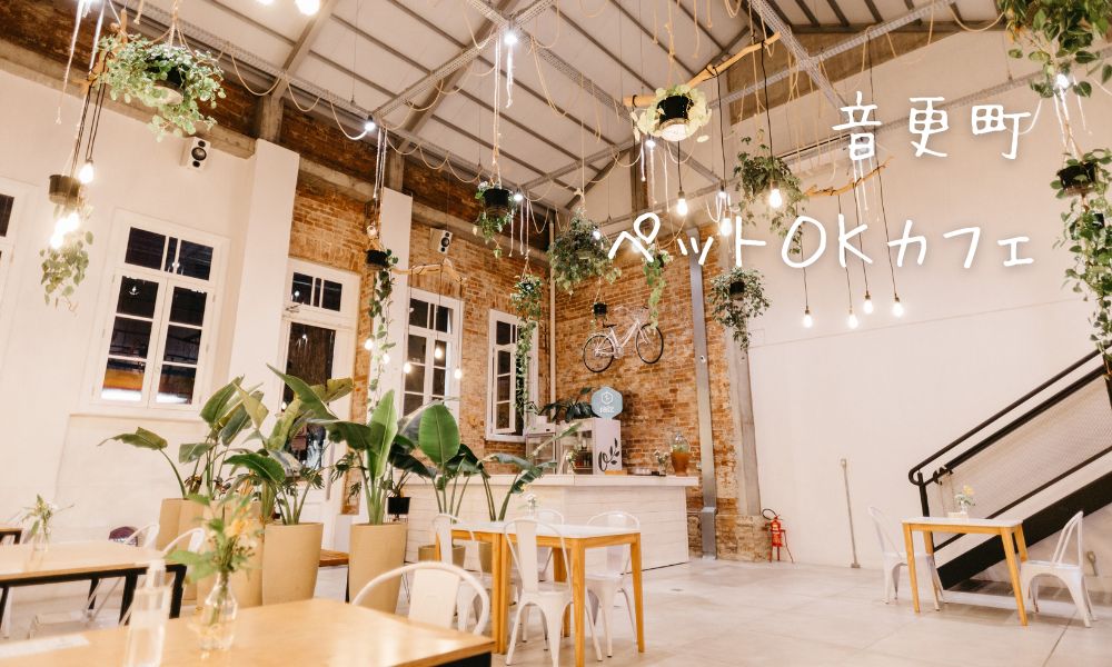 音更町のペット同伴OKカフェ・ドッグカフェ