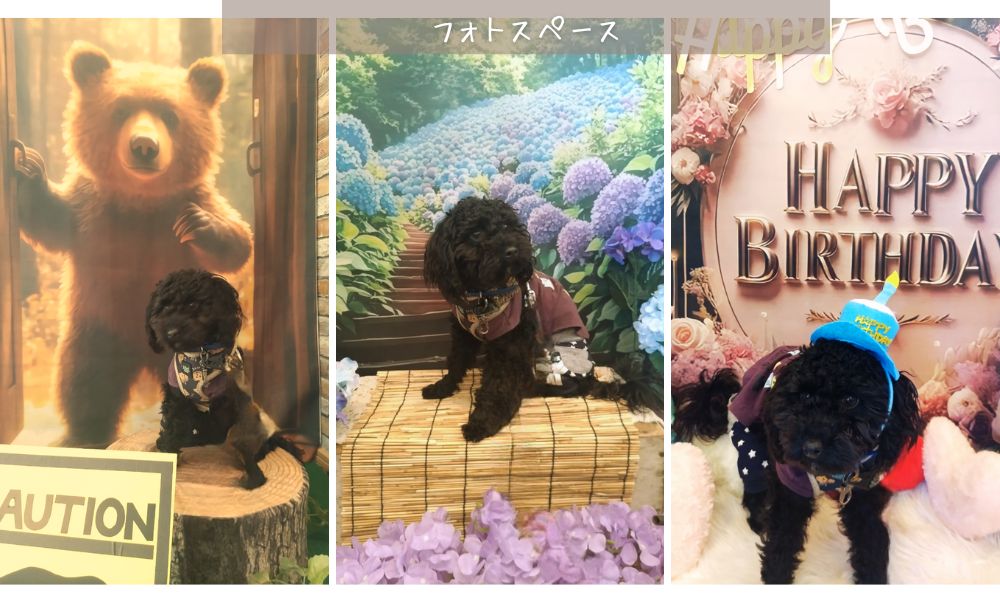 フォトスペース