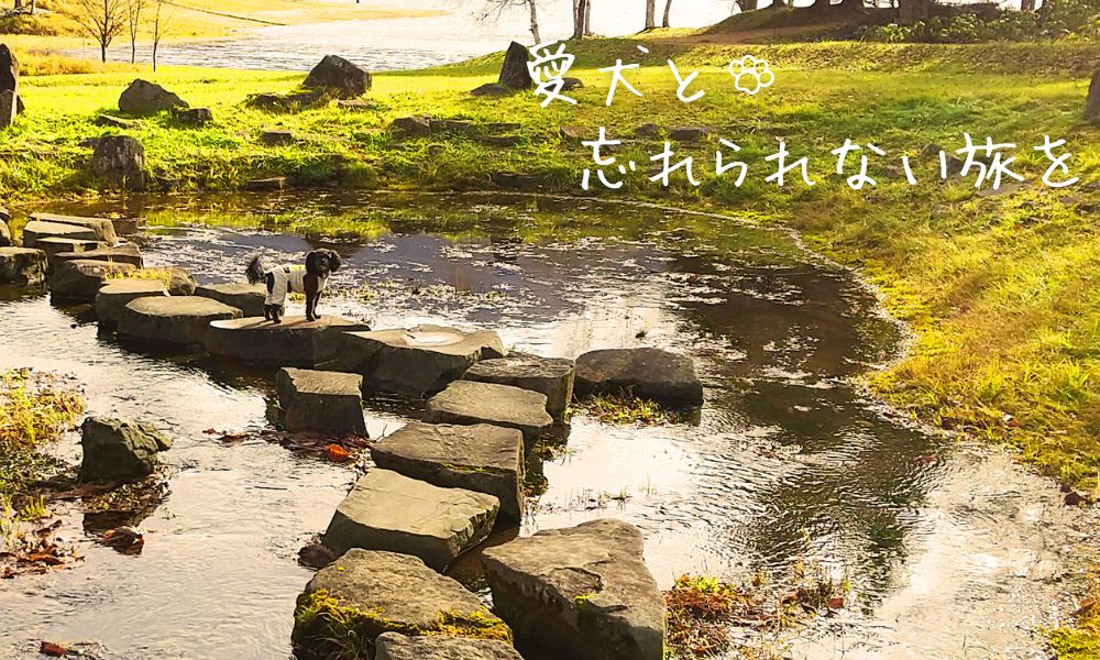 愛犬と忘れられない旅を