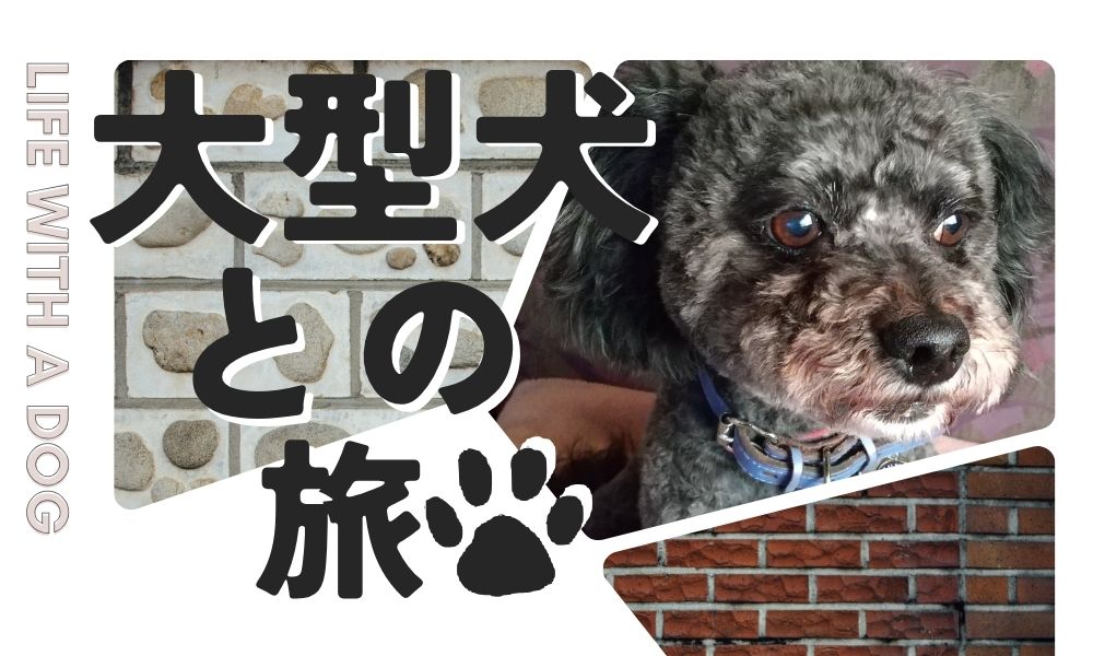 大型犬との旅