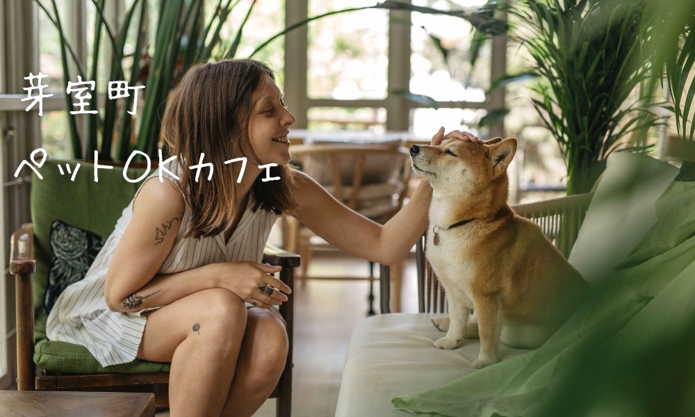 芽室町のペット同伴OKカフェ・ドッグカフェ