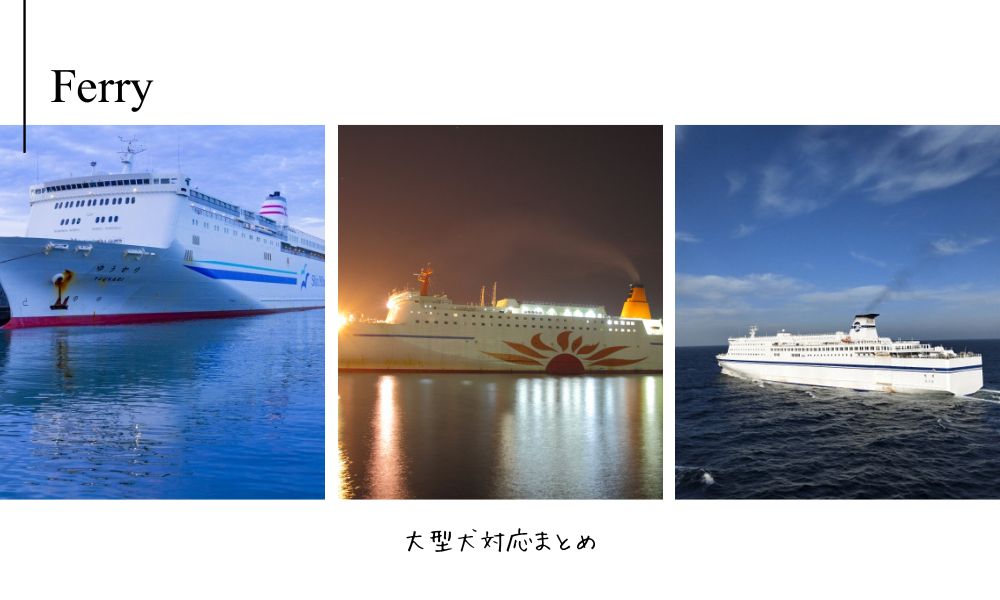 北海道行きのフェリー各社の特徴と大型犬対応まとめ