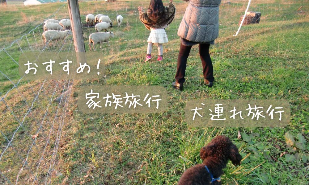 まとめ|犬連れ旅行や家族旅行にぴったりの癒しステイ
