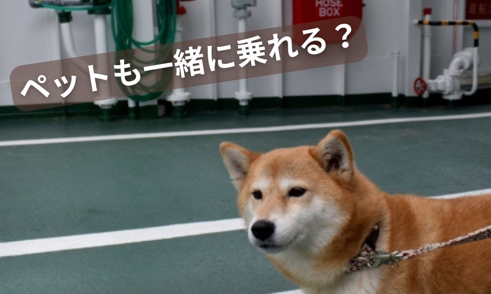 新日本海フェリーペットと一緒に乗る
