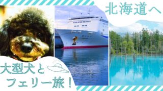 【北海道 フェリー比較】大型犬OKのフェリー航路まとめ｜車内・同室可のルールも解説