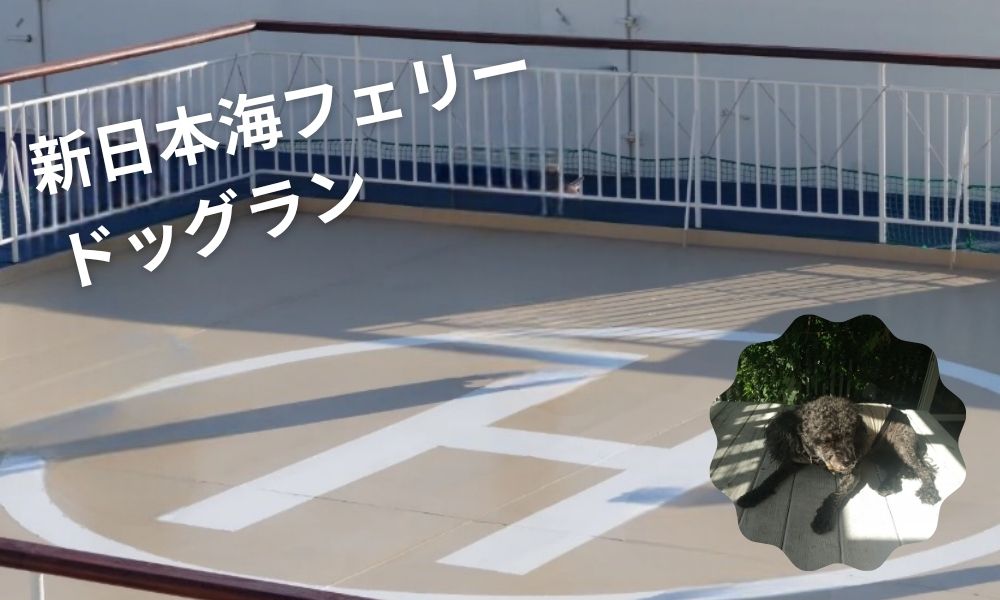 新日本海フェリードッグラン
