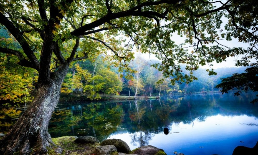 鳥沼公園(富良野)