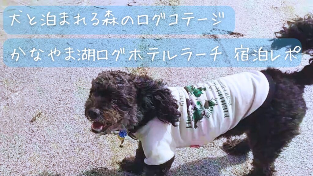 犬と泊まれる森のログコテージ かなやま湖ログホテルラーチ 宿泊レポ