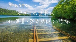 【北海道・十勝】愛犬と行く然別湖|湖畔の静かな時間と野生動物の気配