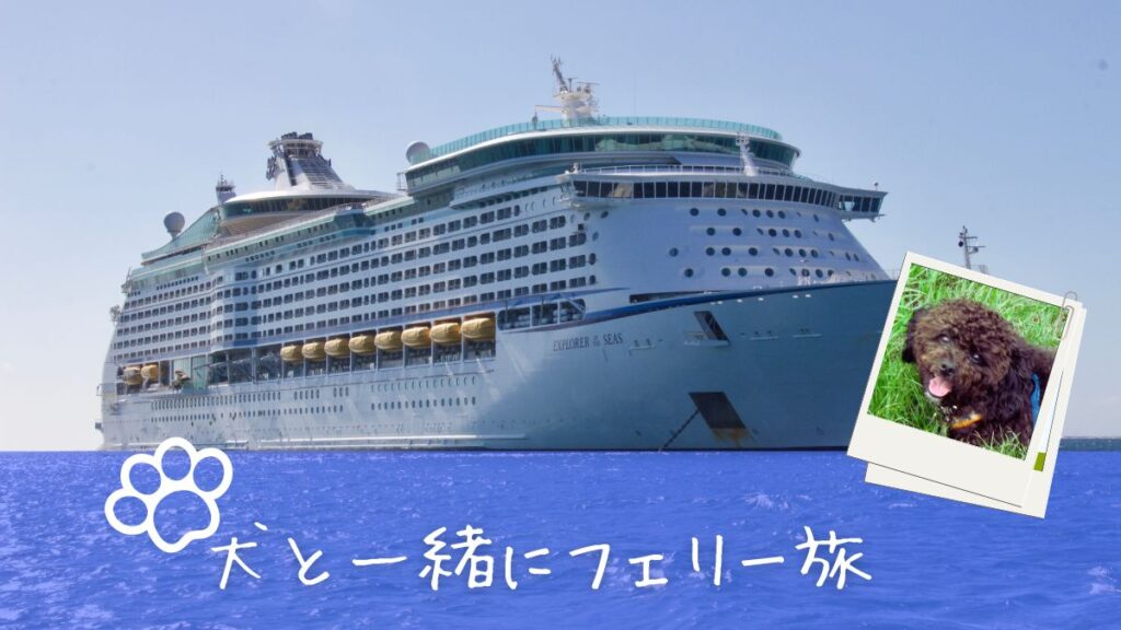 犬と一緒にフェリー旅
