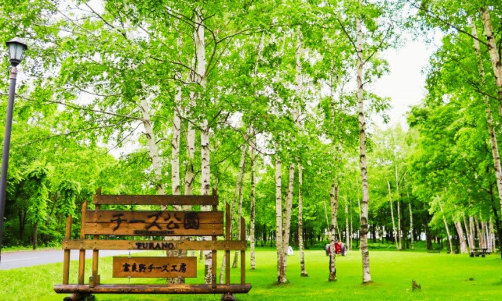 【第5位】富良野チーズ工房