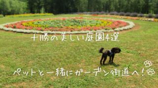 【北海道・十勝】愛犬と花の庭園へ!ペットと行ける北海道ガーデン街道おすすめ4選