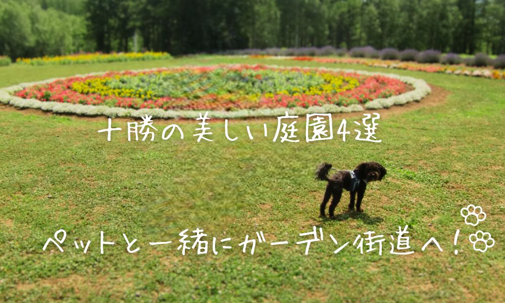 十勝の美しい庭園4選　ペットと一緒にガーデン街道！