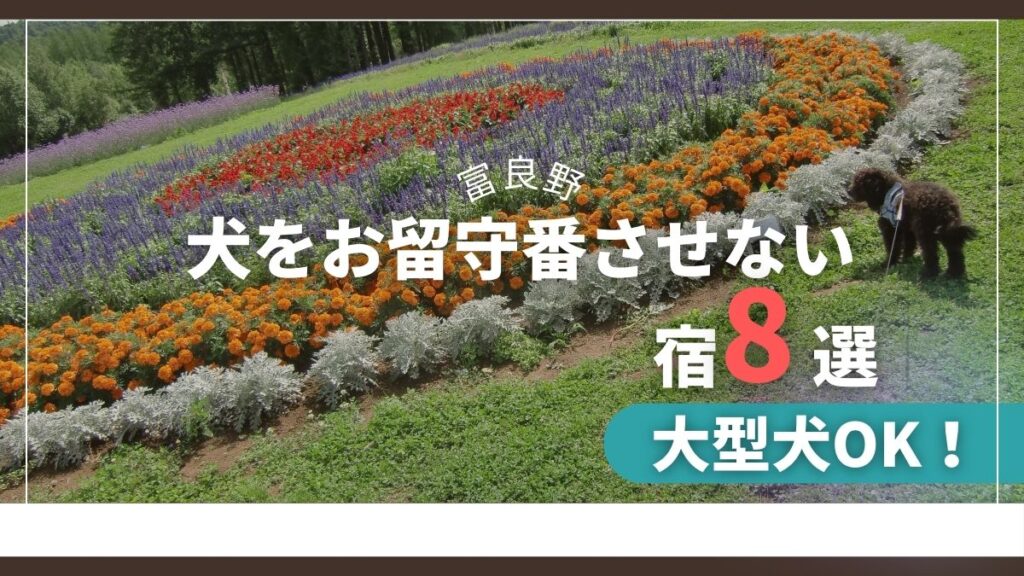 【北海道・富良野】犬をお留守番させずに泊まれる宿8選|同室OK・コテージ中心に紹介