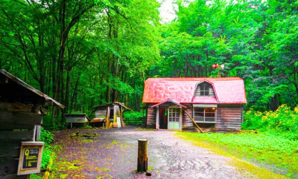 麓郷の森(富良野)