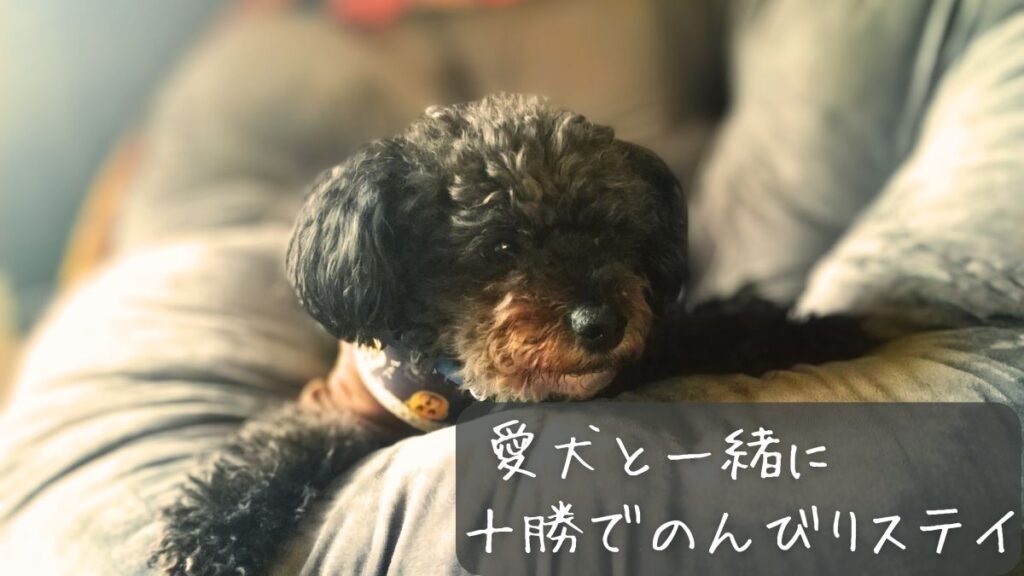 愛犬と一緒に十勝でのんびりステイ