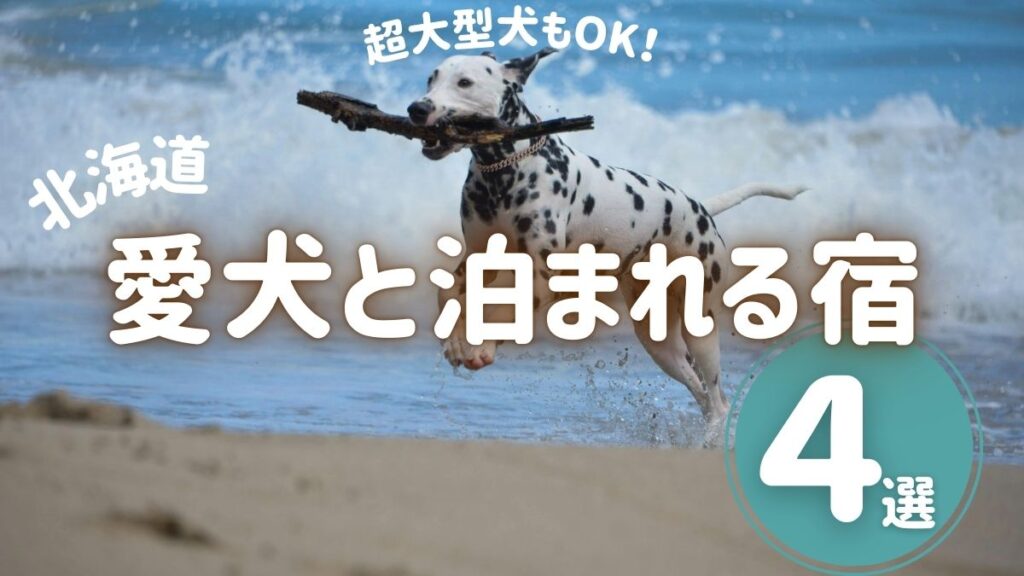 超大型犬もＯＫ！北海道愛犬と泊まれる宿4選