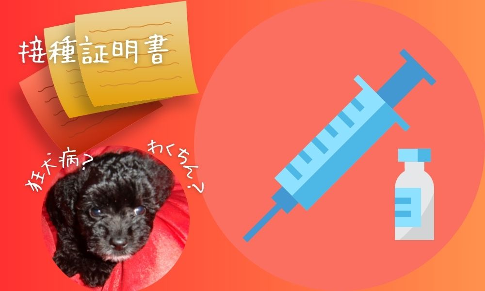 愛犬同伴で宿を利用する際の注意点