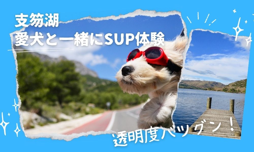 支笏湖　愛犬と一緒にSUP体験