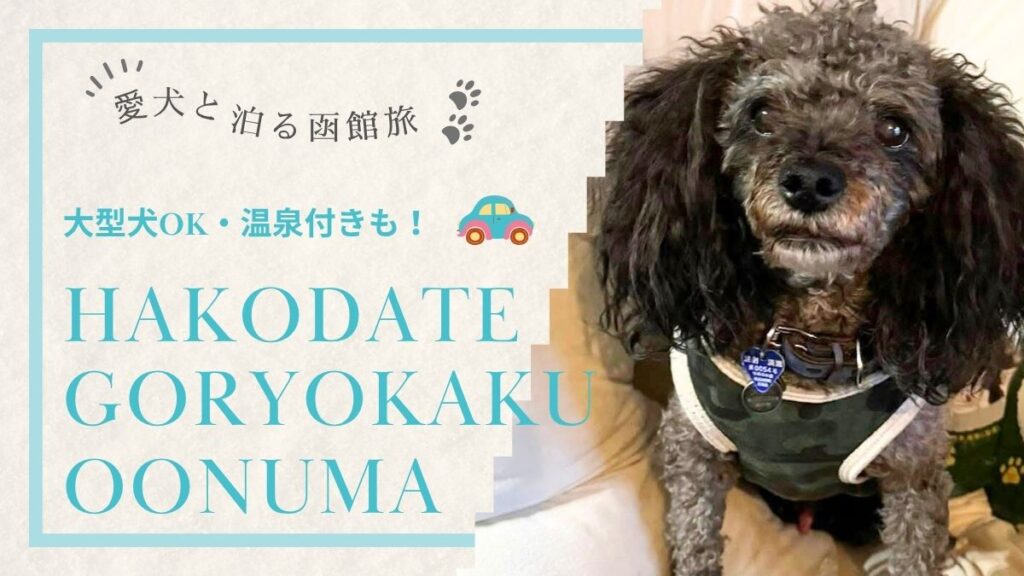 大型犬OK・温泉付きも！愛犬と泊まる函館旅