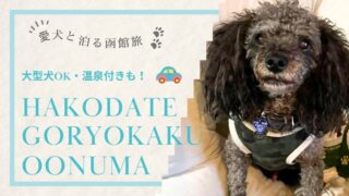 【函館・五稜郭・大沼】犬と泊まれる宿7選|大型犬OK・温泉・ドッグラン付きも紹介!