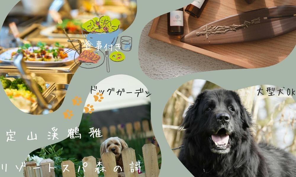 【第3位】定山渓鶴雅リゾートスパ森の謌