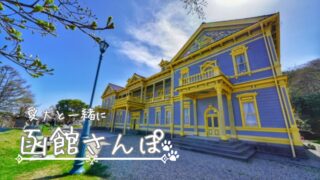 【函館・大沼】犬と楽しめる観光地6選｜夜景・赤レンガ・クルーズ体験も！