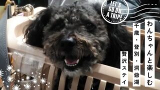 【千歳・登別・洞爺湖】犬と泊まれる宿9選|温泉旅館・湖畔リゾート・貸別荘も!