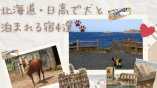 【北海道・日高】犬と泊まれる宿4選|温泉・民宿・ドッグラン付きも!