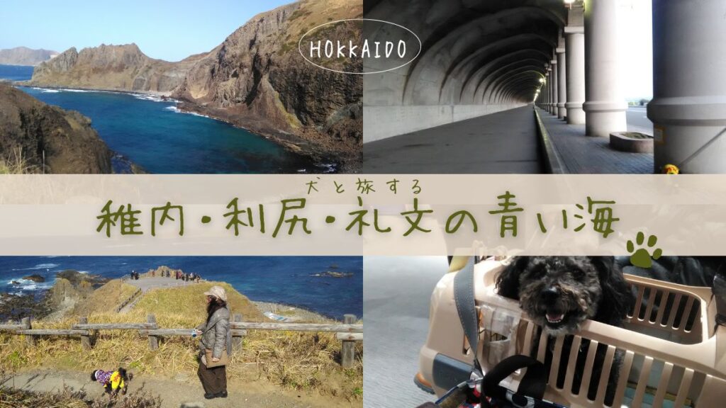 稚内・利尻・礼文の青い海を犬と旅する