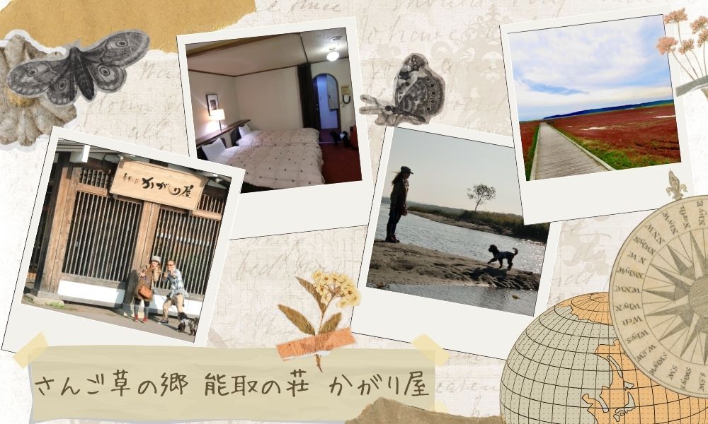 さんご草の郷 能取の荘 かがり屋