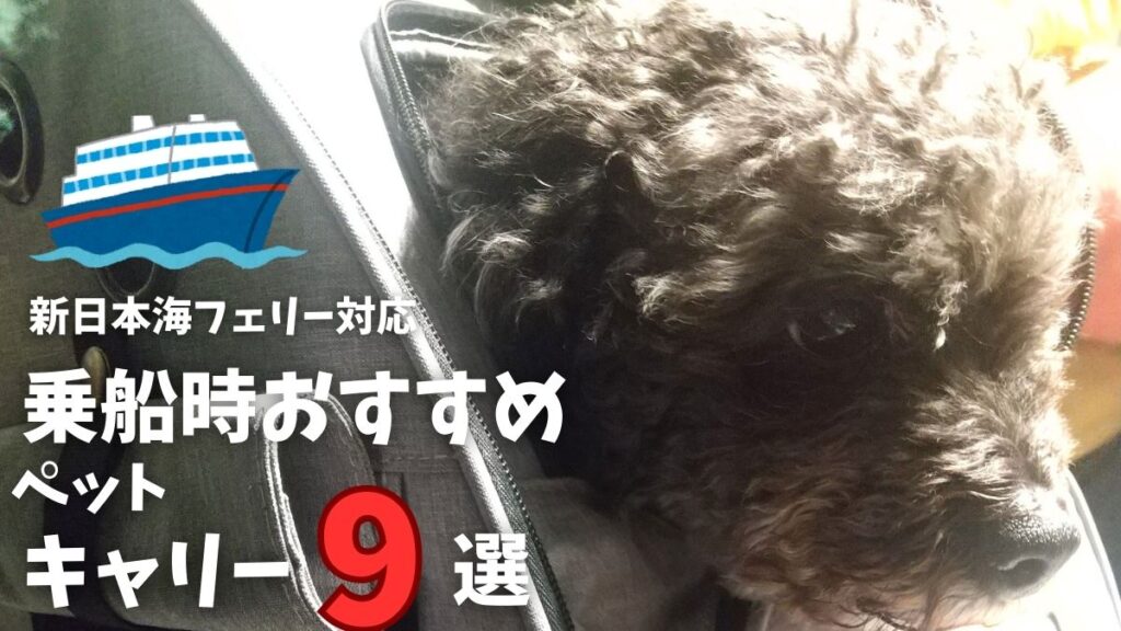 新日本海フェリー対応乗船時おすすめペットキャリ9選