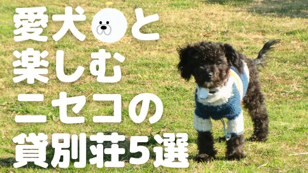 愛犬と楽しむニセコの貸別荘5選
