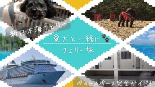 【新日本海フェリー】ペット同伴OK！ペットスペースの料金・予約方法まとめ