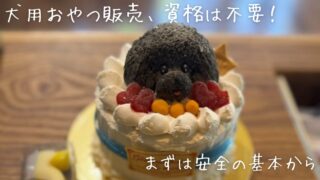 犬用手作りおやつ販売に資格は必要?安全に販売するための基本とおすすめ講座