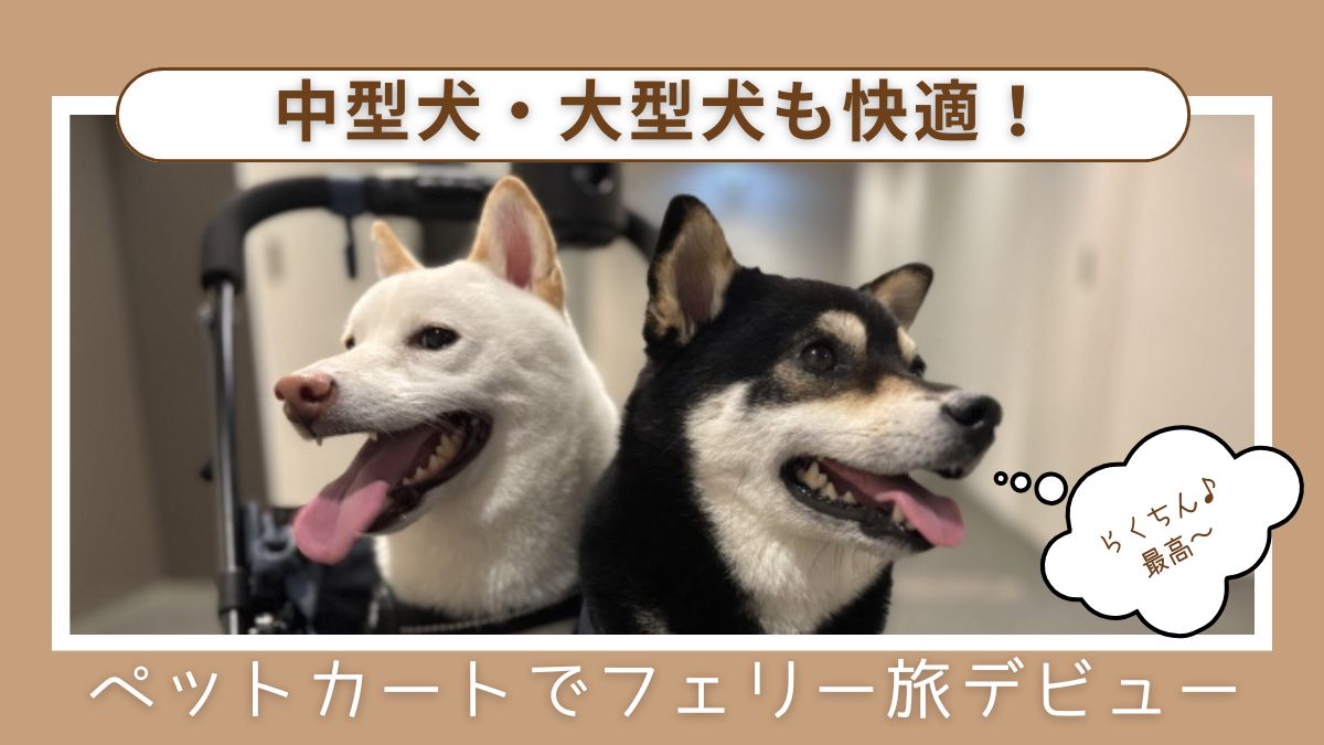 【新日本海フェリー対応】中型・大型犬向けペットカートおすすめ7選｜30kgまでの犬に便利