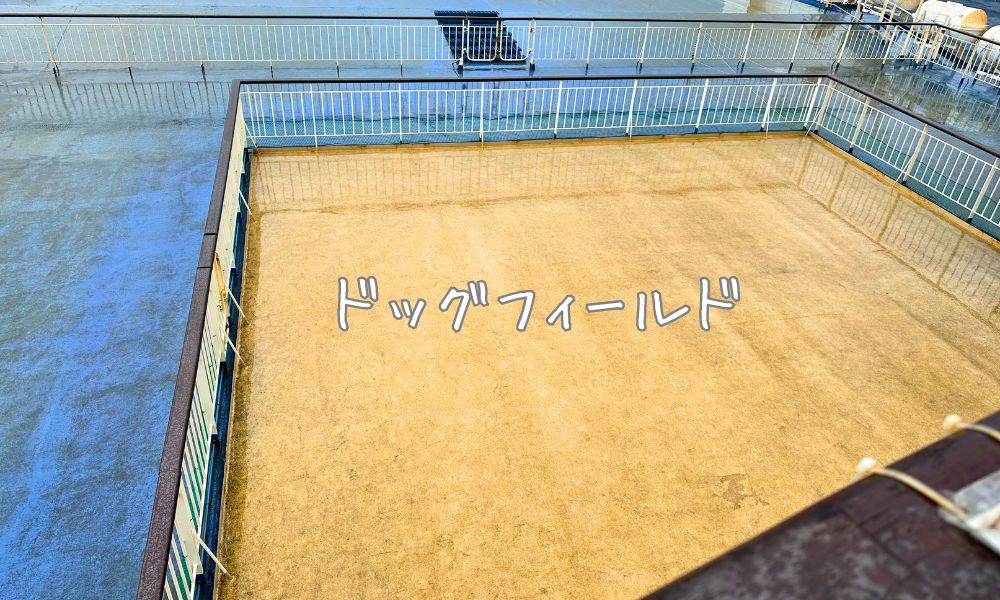 ドッグフィールド