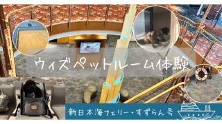 新日本海フェリー「すずらん」ウィズペットルーム乗船レポ｜苫小牧東→敦賀へ犬と20時間の船旅