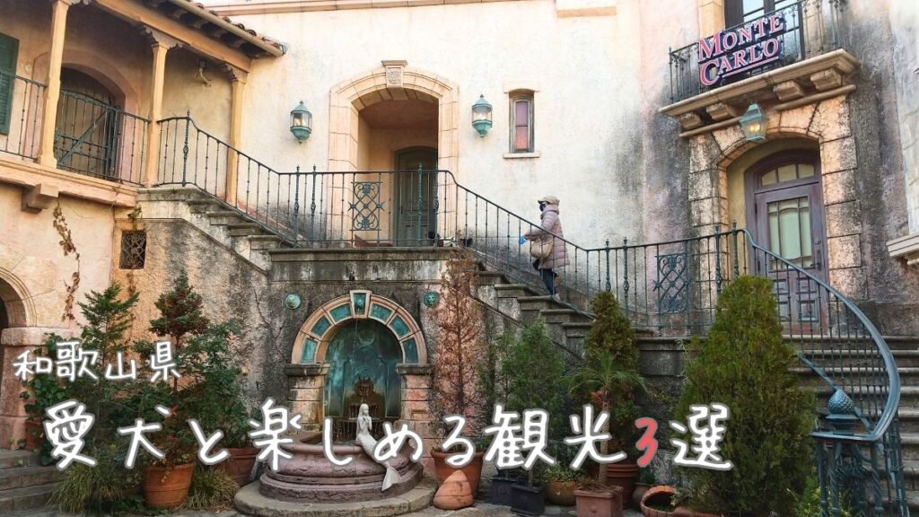 和歌山県 愛犬と楽しめる観光3選