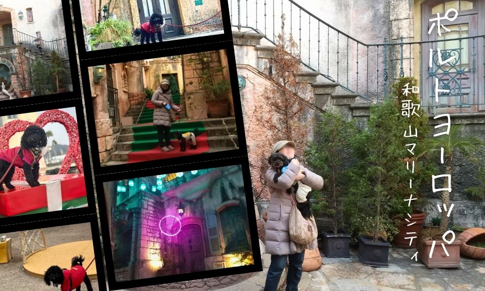 和歌山マリーナシティ ポルトヨーロッパ