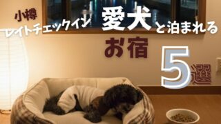 【小樽港近く】ペット可の宿|愛犬と泊まれるレイトチェックインOK(フェリー夜着対応)